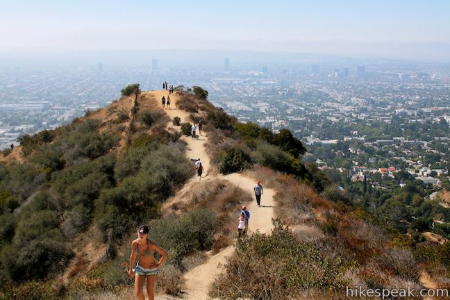 things to do in hollywood - runyun canyon hike