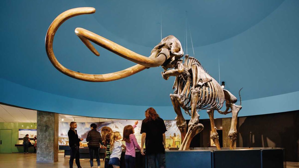 things to do in hollywood - visit the la brea tar pits