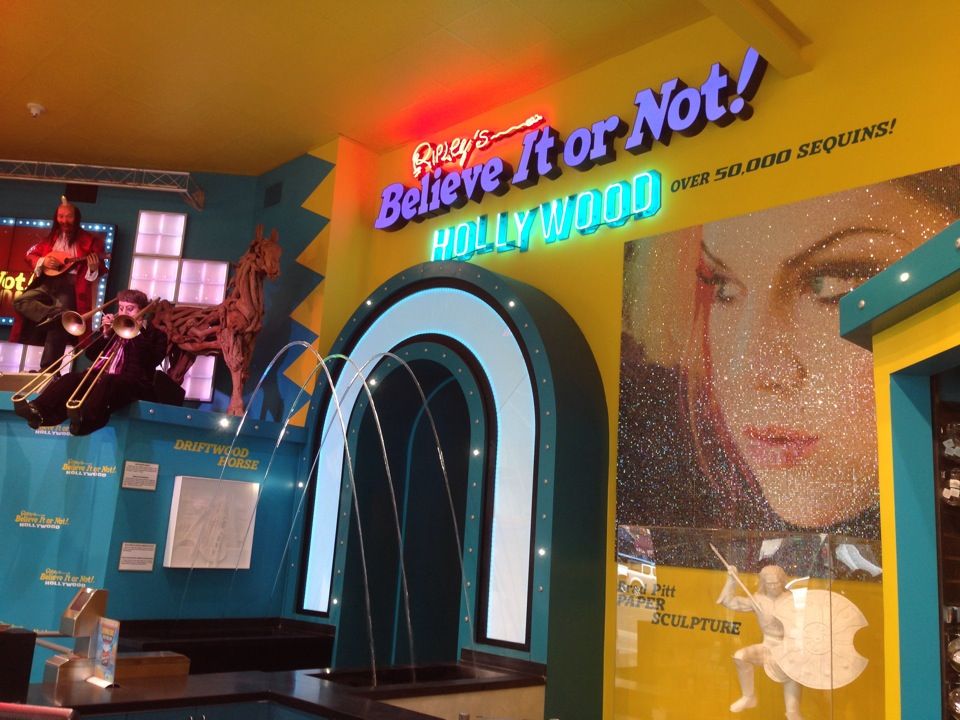 things to do in hollywood - ripley's