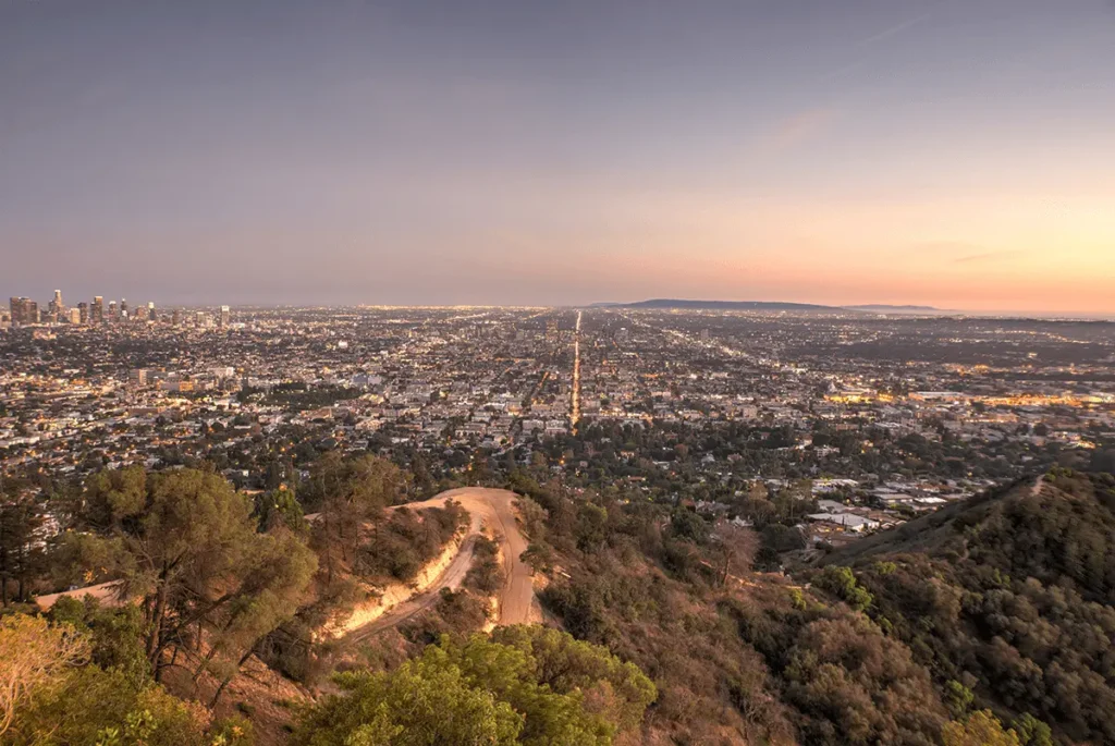 Scenic view of Los Angeles skyline with palm trees and mountains in the background during golden hour.
