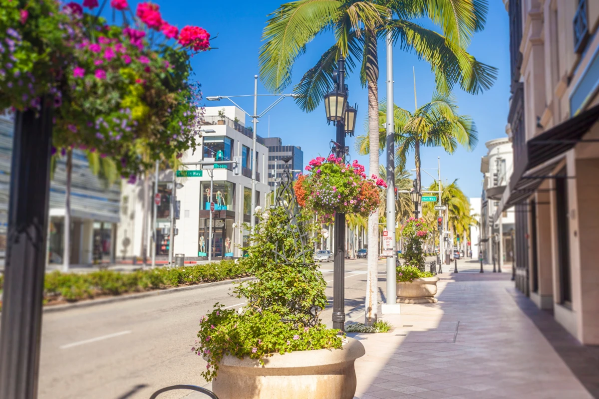 Upscale Rodeo Drive shopping street in Beverly Hills with palm trees, luxury boutiques, and colorful flower displays
