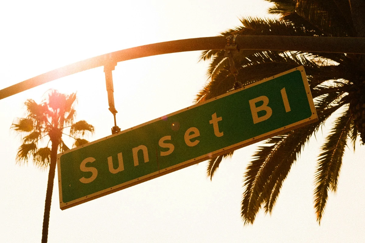 Sunset Boulevard street sign with palm trees sunset