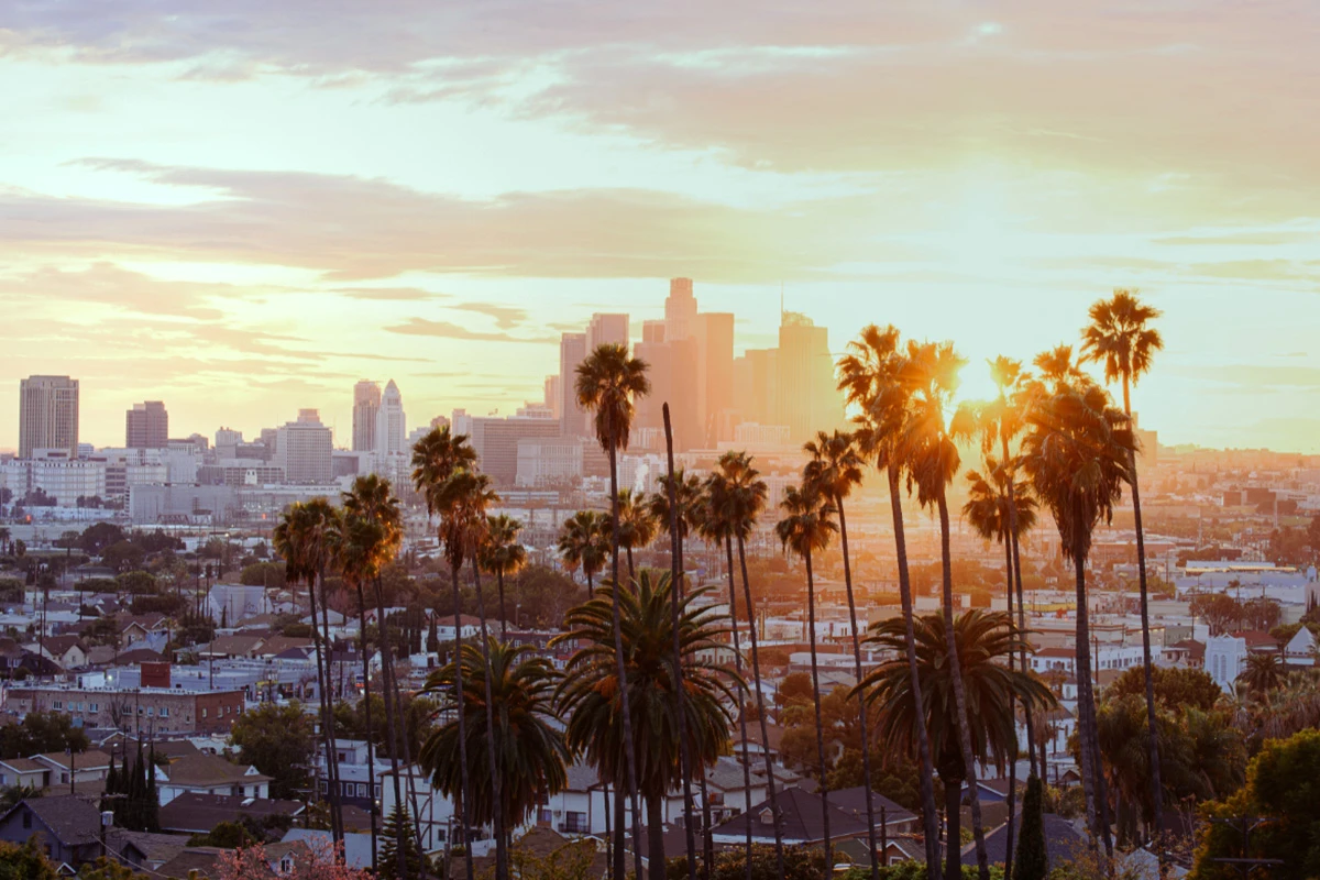 Sunset view of downtown Los Angeles framed by tall palm trees.