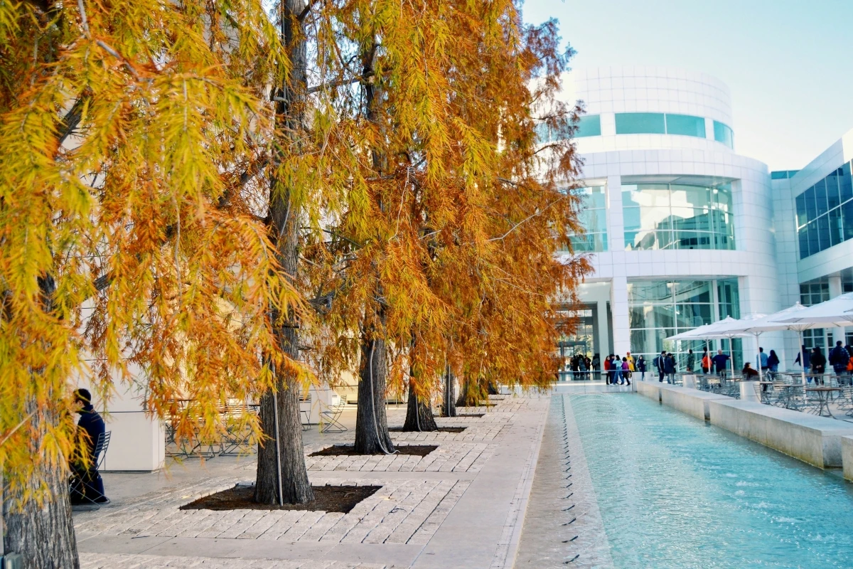 LA urban plaza autumn architecture