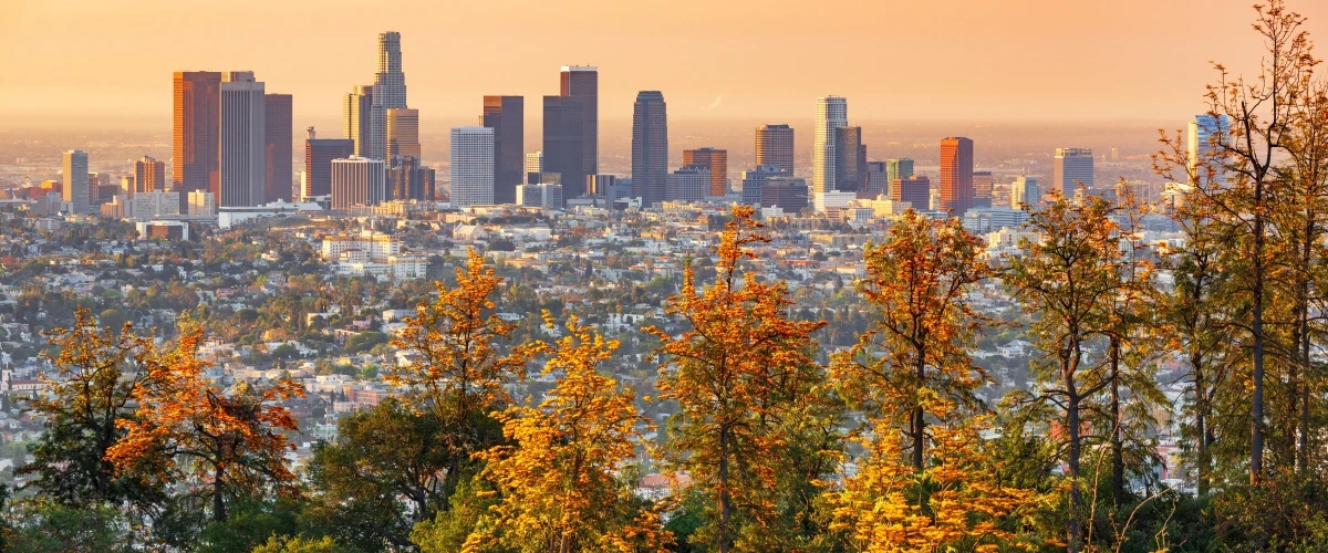 Downtown Los Angeles skyline viewed from hilltop with golden autumn foliage trees in foreground during sunset
