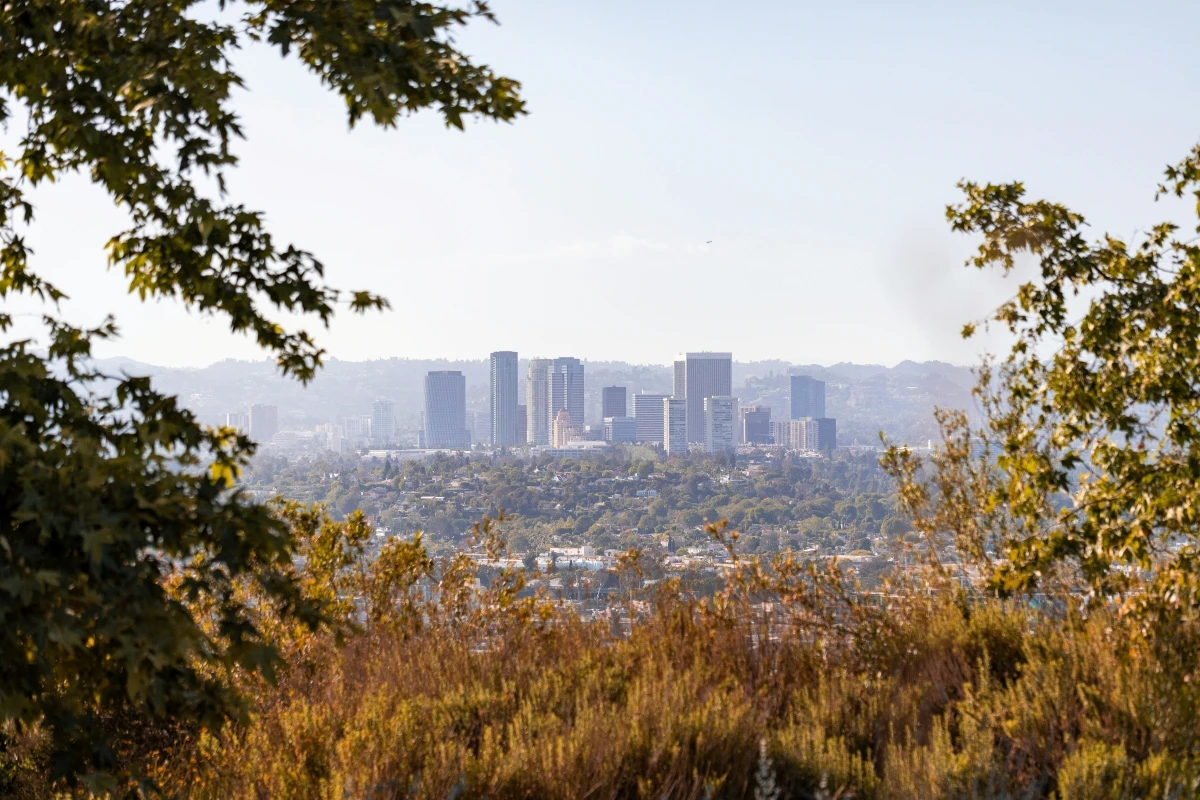 LA downtown skyline nature view