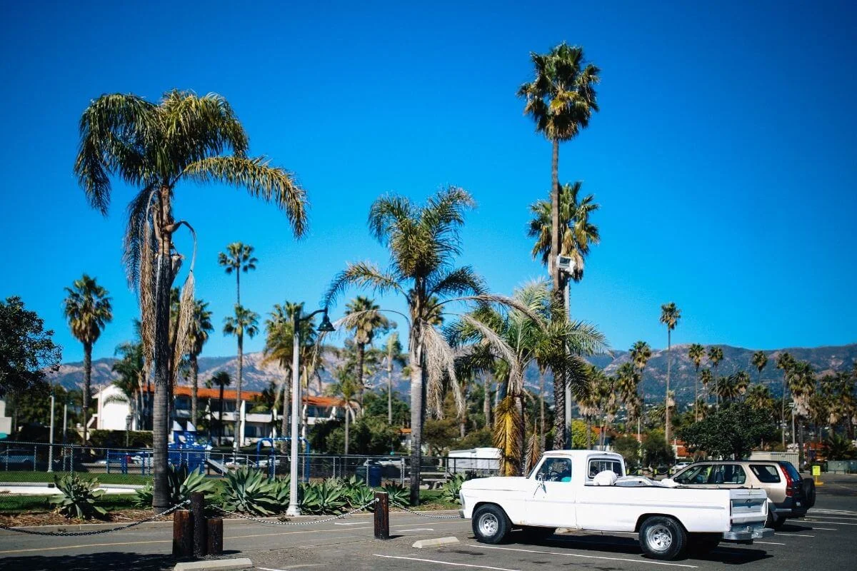 White classic pickup truck parked in a sunny lot surrounded by tall palm trees with mountains in the background and a clear blue sky.