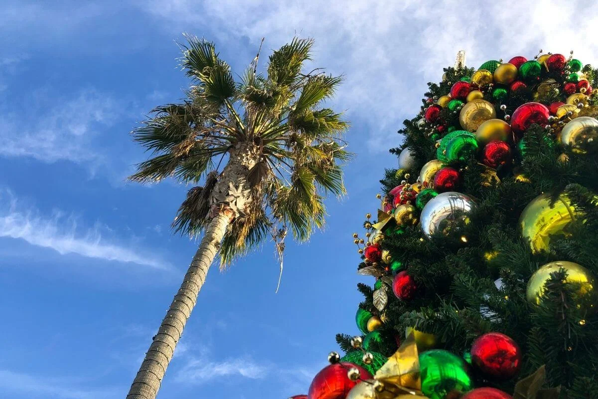Upward view of a tall palm tree beside a decorated Christmas tree covered in shiny red, green, and gold ornaments against a bright blue sky with wispy clouds.