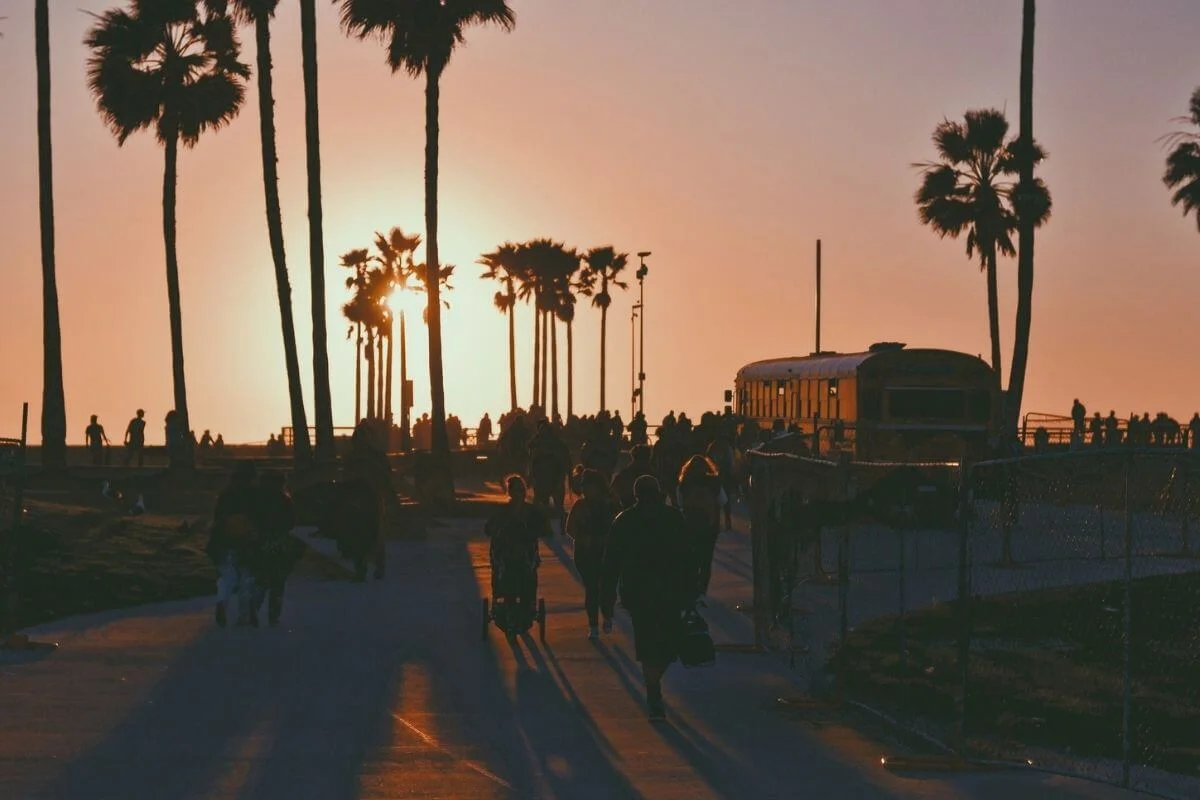 People walking along a beachside path lined with tall palm trees at sunset, with silhouettes of pedestrians, a warm orange sky, and long shadows stretching across the walkway.