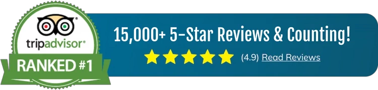 Reviews Hollywood Bus Tours