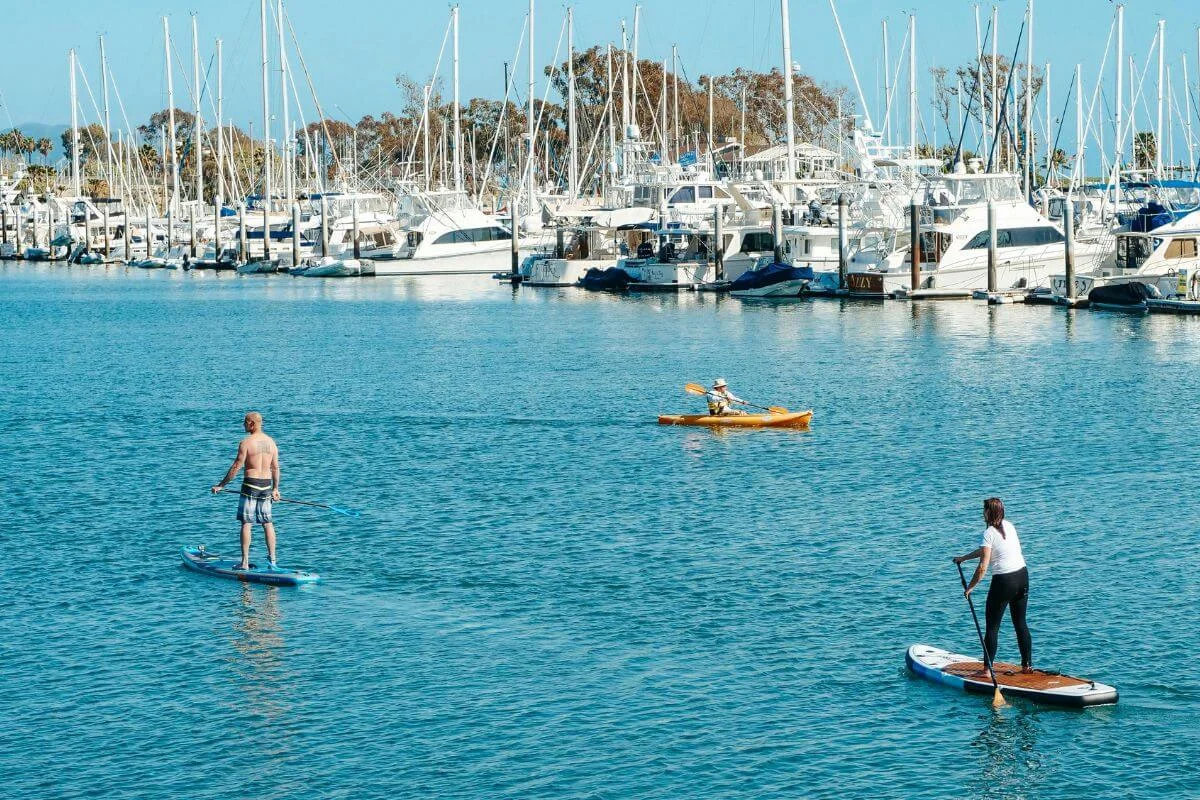 Two people on stand-up paddleboards and one person in a yellow kayak move across calm blue water in front of a marina filled with docked sailboats and yachts on a sunny day.