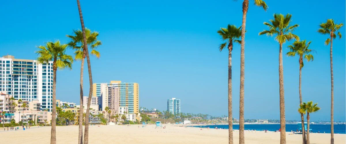 Palm trees lining the sandy beach in Long Beach California with high rise hotels and ocean views under a clear blue sky