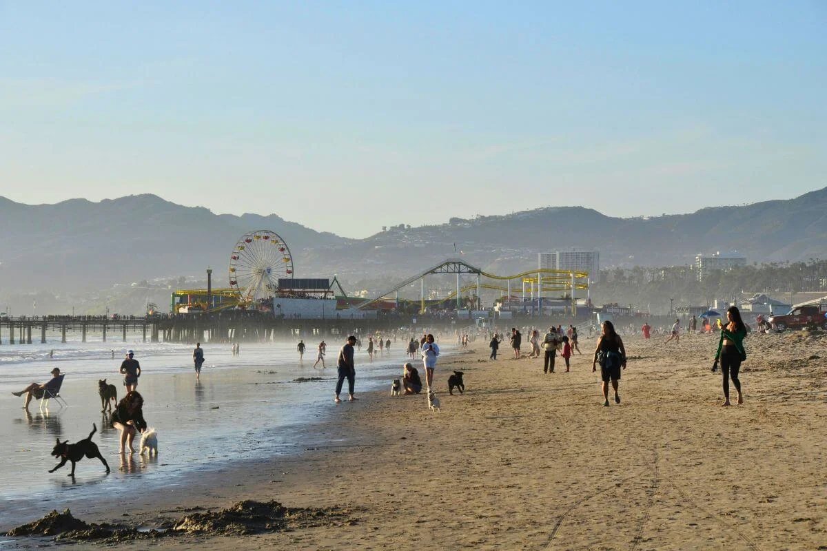 People walking along a sandy beach with dogs and ocean waves, with the Santa Monica Pier and Ferris wheel visible in the distance under clear daylight.