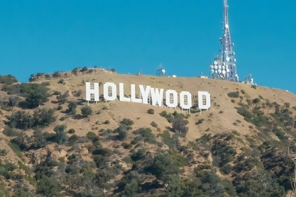 Hollywood Bus Tours Bus