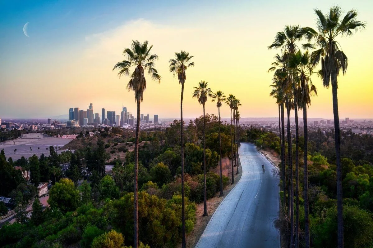 Scenic view of downtown Los Angeles skyline at sunset with tall palm trees lining a winding road, capturing a classic Southern California landscape.