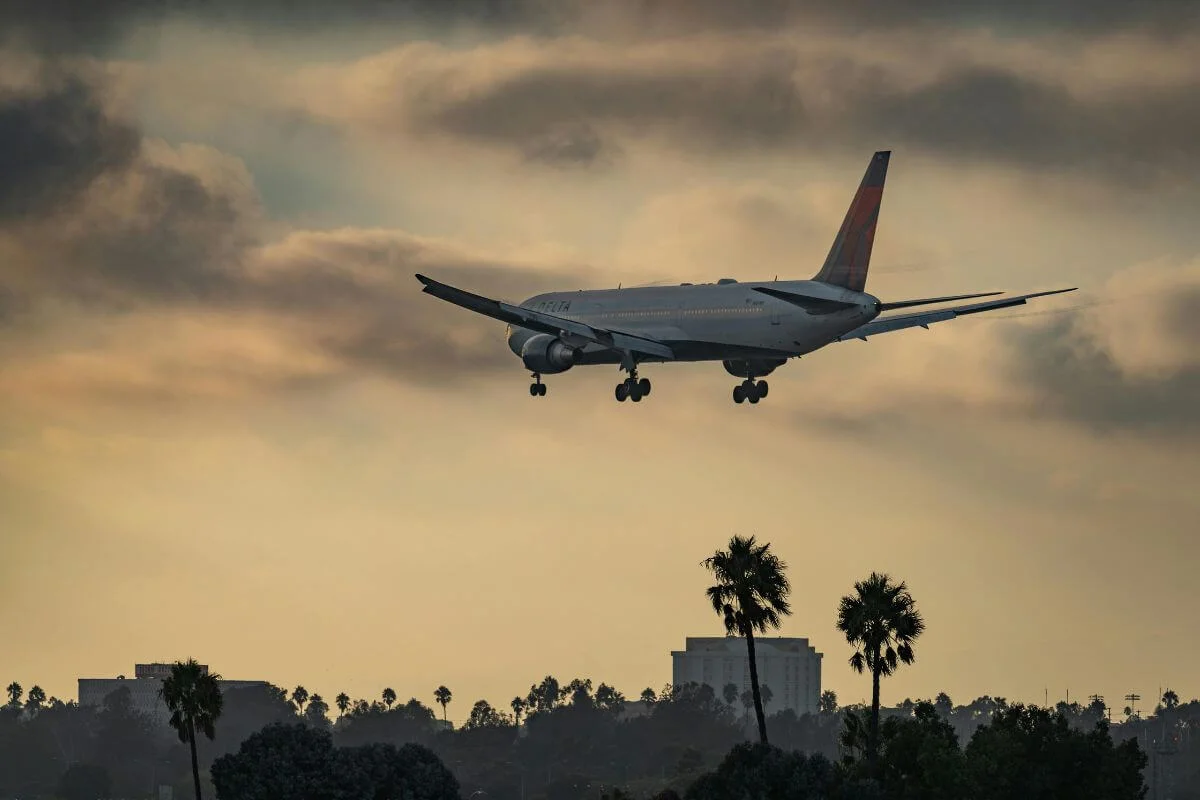 Commercial airplane descending for landing over Los Angeles skyline with palm trees silhouetted against a dramatic sunset sky.
