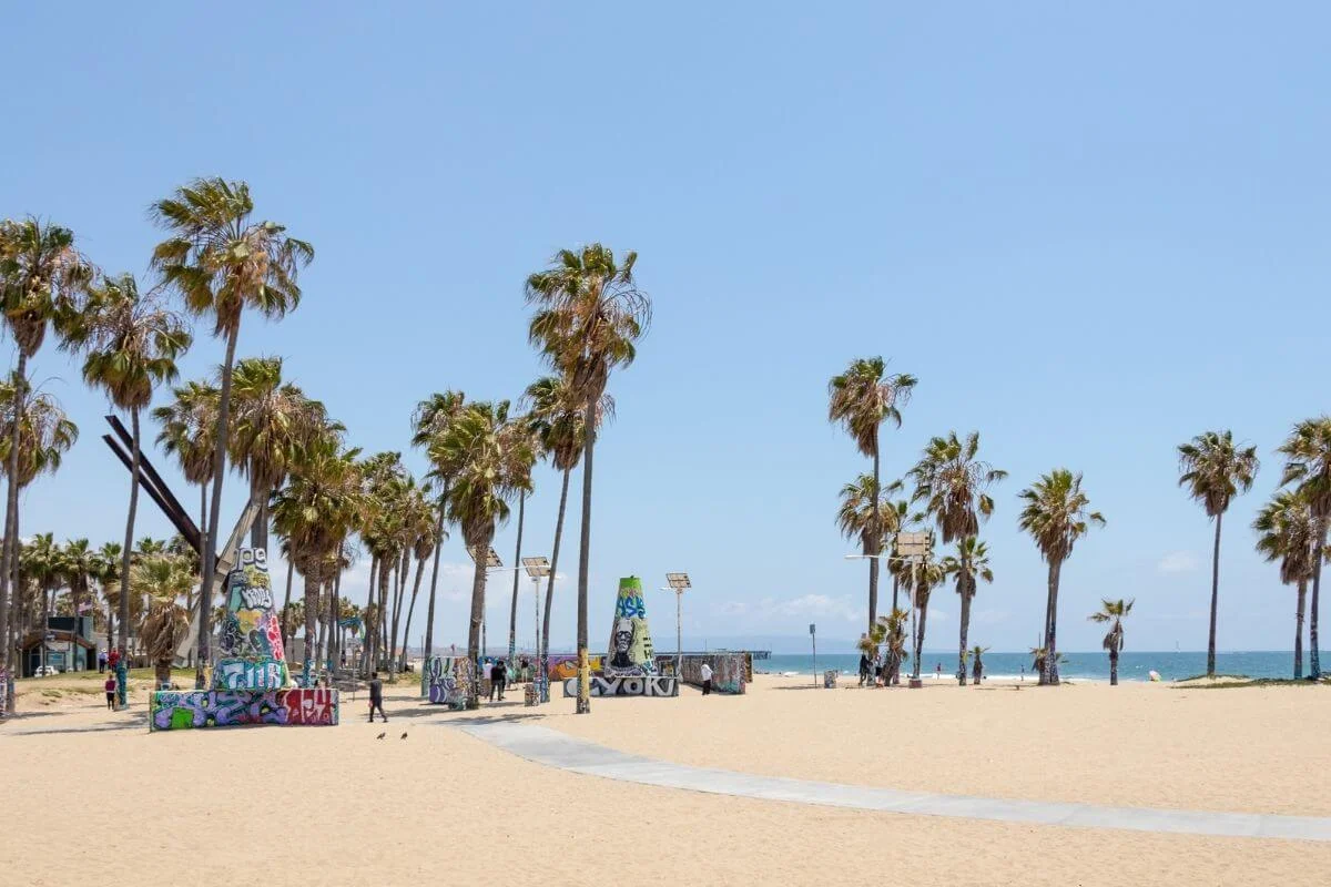 Open sandy area at Venice Beach featuring graffiti-covered concrete structures and skate park installations surrounded by tall palm trees, with the Pacific Ocean visible in the background under a clear blue midday sky.