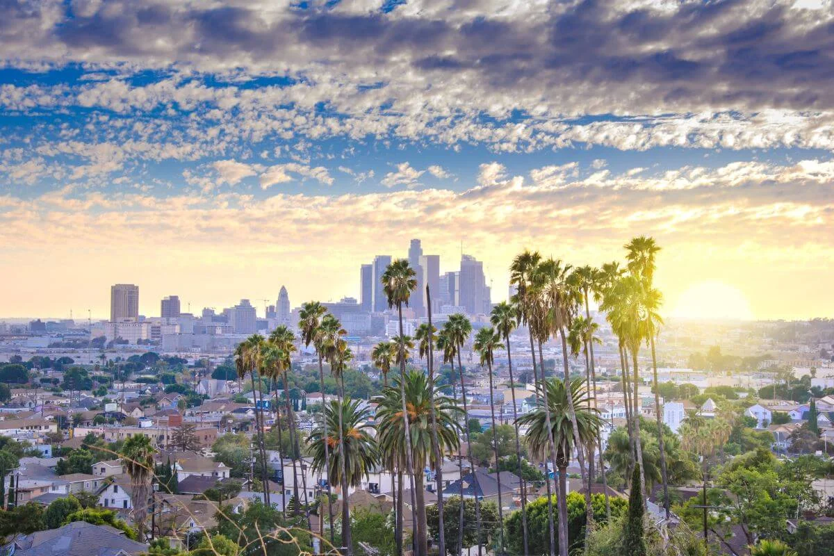 Panoramic view of downtown Los Angeles skyline at sunset with tall palm trees, residential neighborhoods, and colorful clouds in the sky.