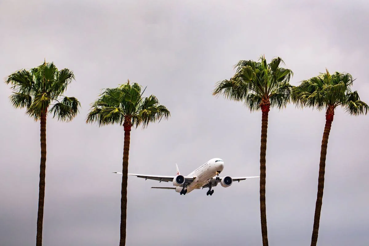 A white commercial jet with landing gear deployed flies low between four tall palm trees against an overcast gray sky, approaching Los Angeles International Airport.