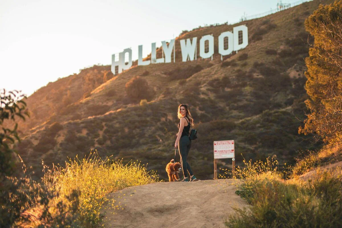 A woman in dark athleisure wear walks a small brown curly-haired dog on a dirt trail with the Hollywood Sign prominently visible on the sun-drenched hillside above, surrounded by golden wildflowers and warm late-afternoon light.