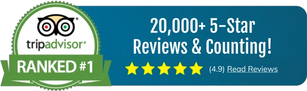 20,000+ 5-Star Reviews & Counting