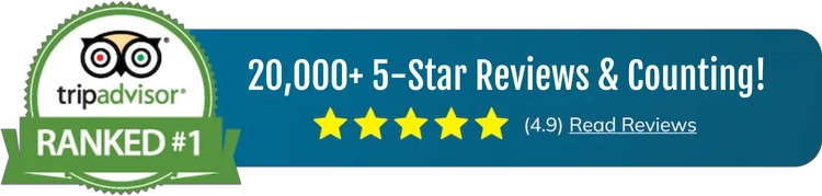 20,000+ 5-Star Reviews & Counting