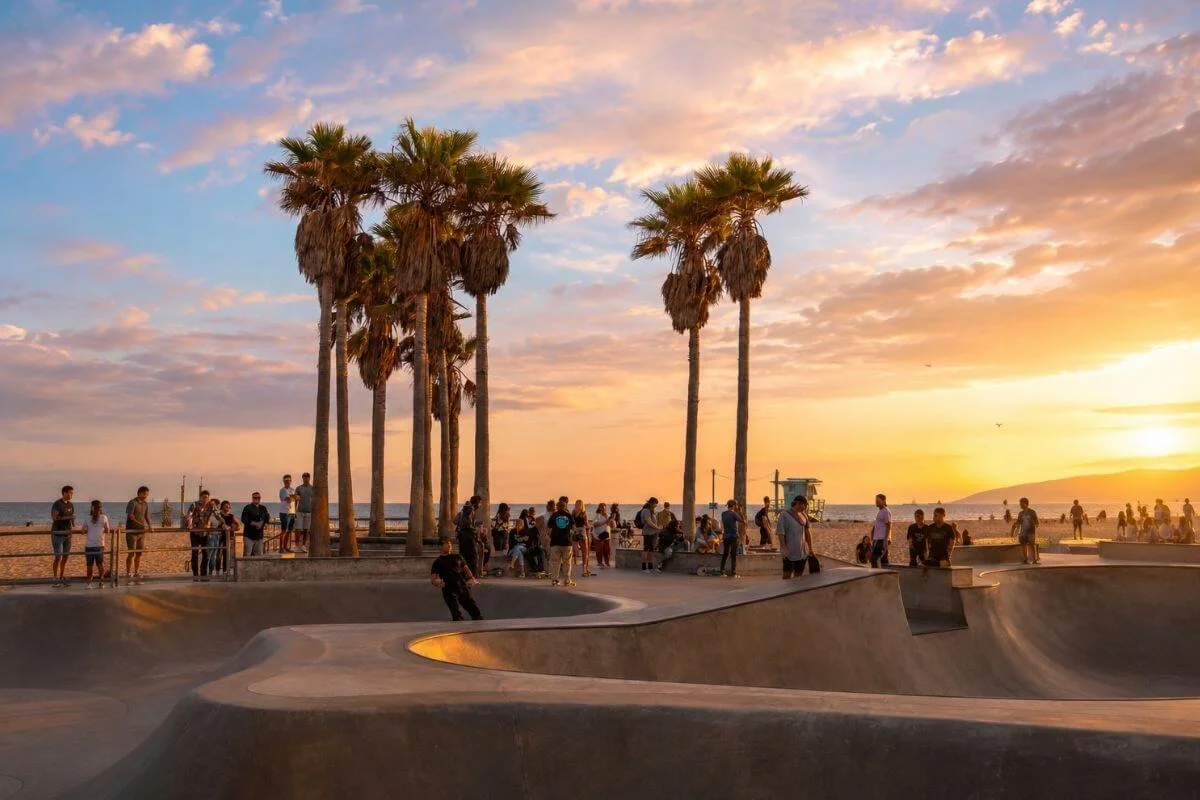 Skaters at Venice Beach skate park with palm trees at sunset