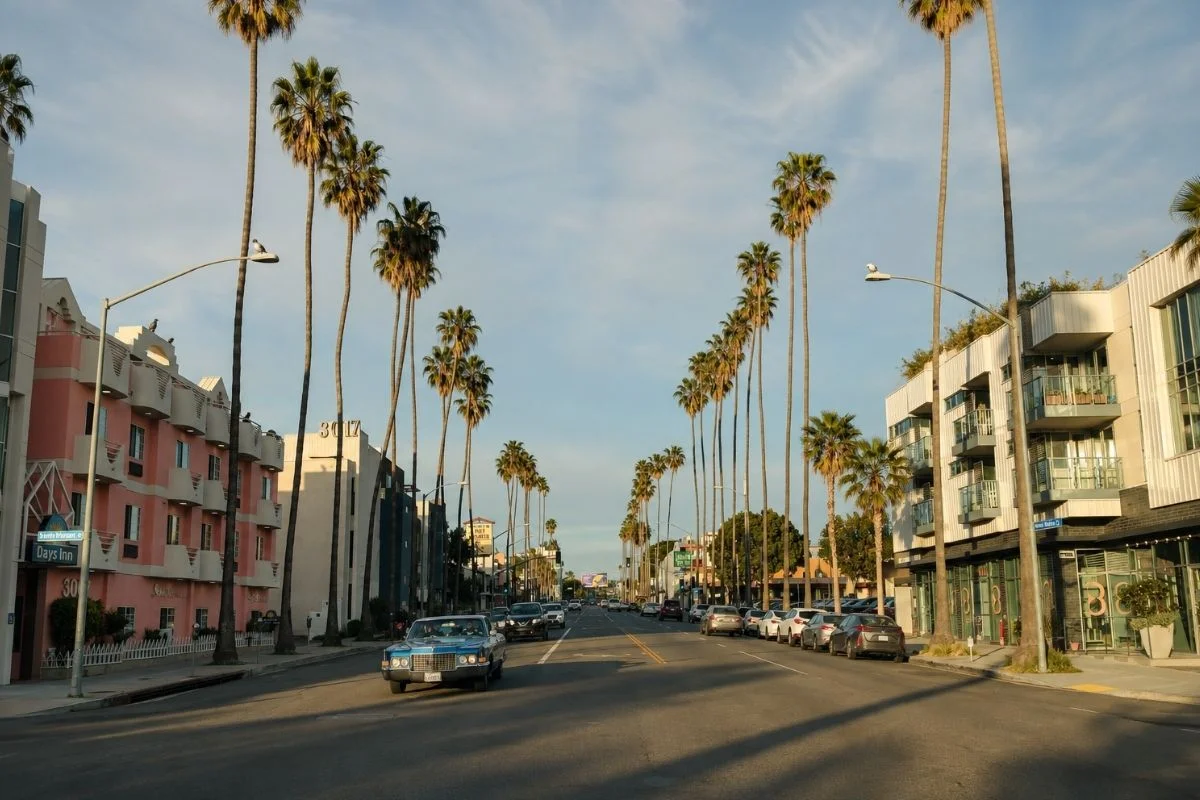 Vintage car driving down palm tree lined street in West Hollywood