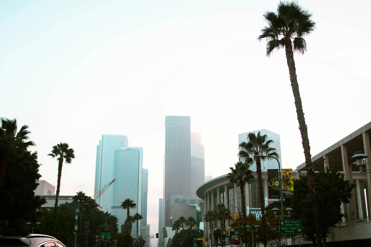 Palm trees and downtown Los Angeles skyscrapers seen through morning haze near the Music Center