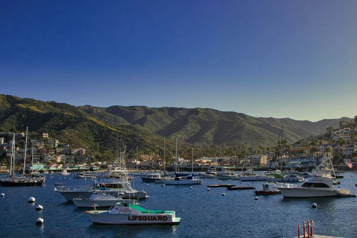 Boats anchored in Avalon Harbor with a lifeguard vessel and green hillside town on Catalina Island