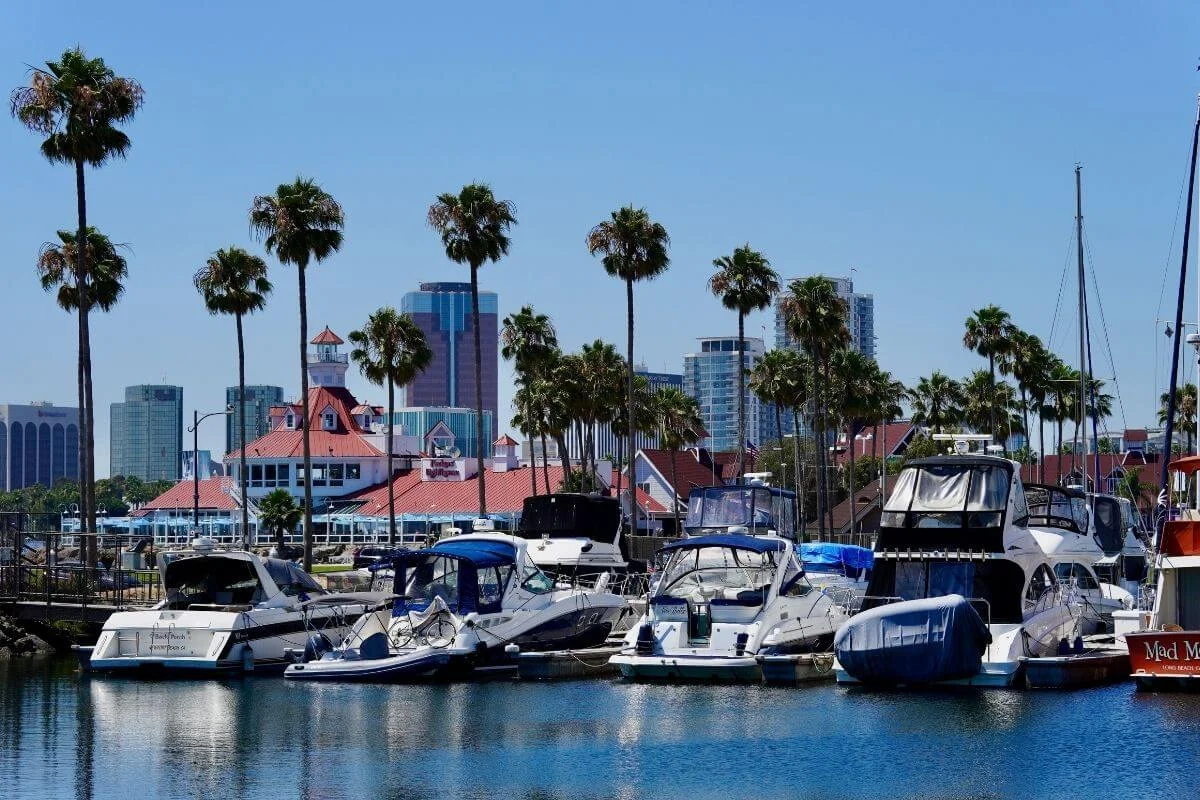 Boats docked at Long Beach Marina with palm trees and the city skyline in the background