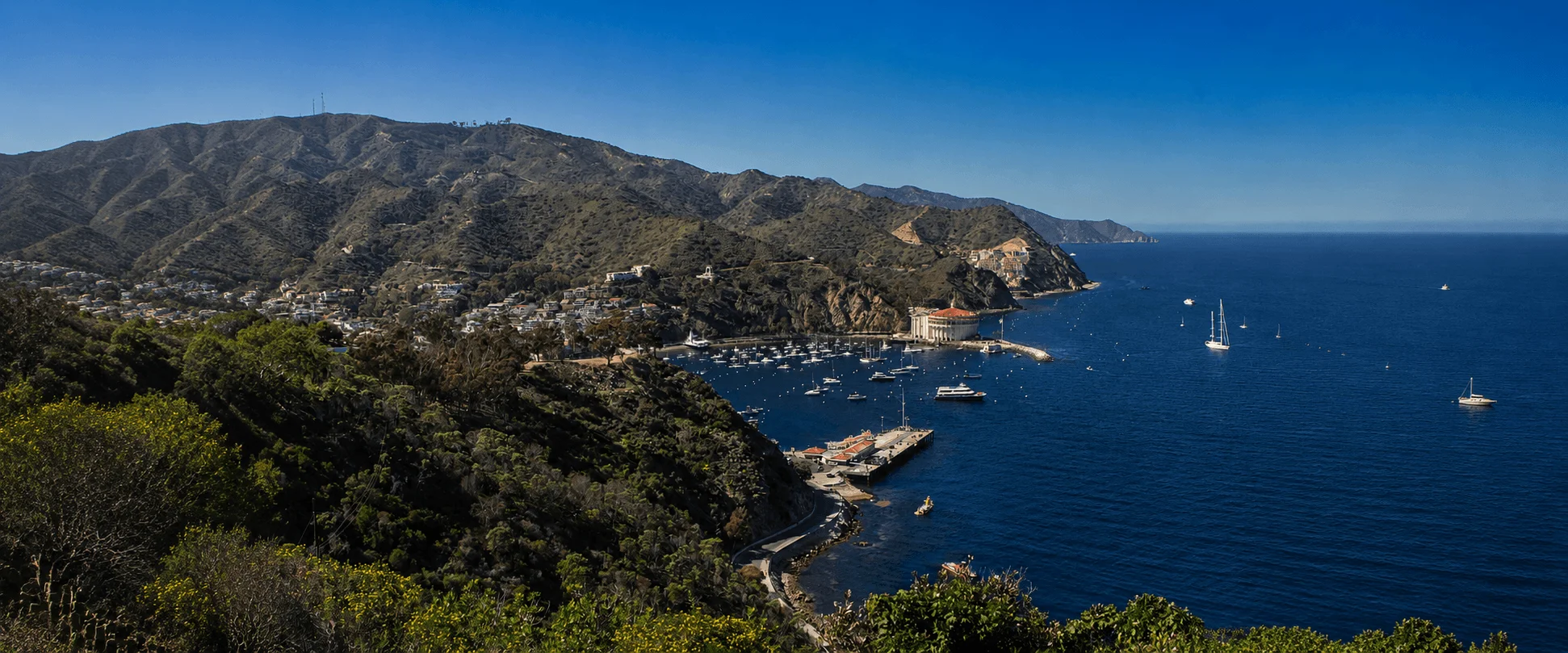 Wide panoramic view of Avalon Harbor, the Catalina Casino, and hillside homes from an elevated lookout on Catalina Island