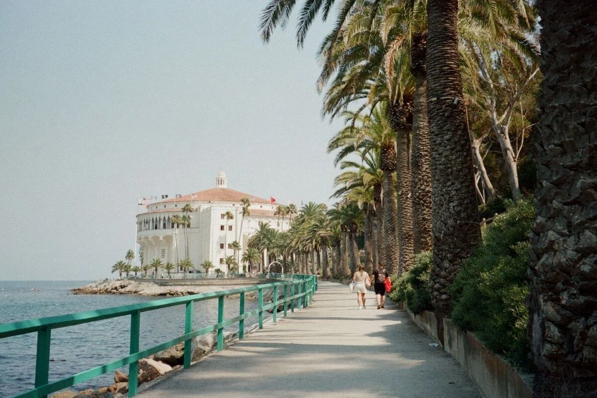 Two visitors walking along a palm-lined waterfront path toward the Catalina Casino building