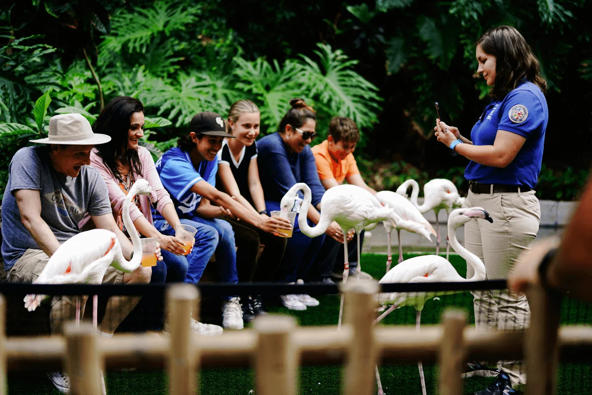 Visitors viewing flamingos at the Los Angeles Zoo in Griffith Park
